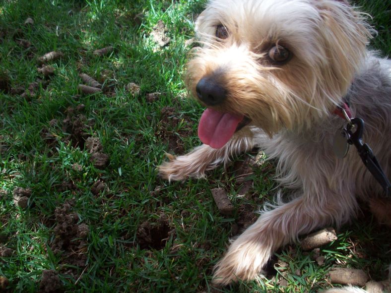 sammy smiles Samwise Gandalf Hatch Smiles