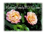 Nat Fam Blog with roses